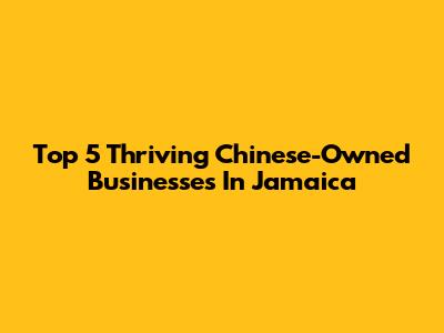 Top 5 Thriving Chinese-Owned Businesses In Jamaica