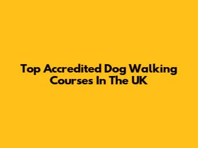 Top Accredited Dog Walking Courses In The UK