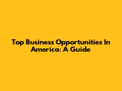 Top Business Opportunities In America: A Guide