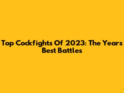 Top Cockfights Of 2023: The Year's Best Battles