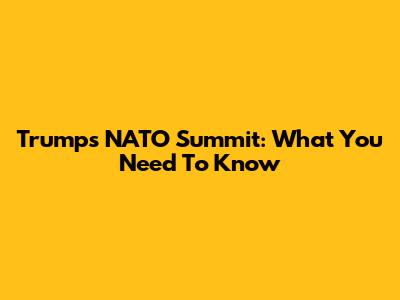 Trump's NATO Summit: What You Need To Know