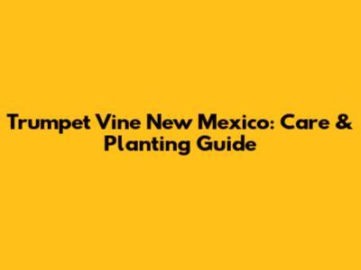Trumpet Vine New Mexico: Care & Planting Guide
