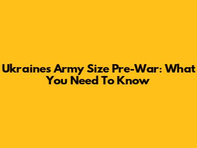 Ukraine's Army Size Pre-War: What You Need To Know