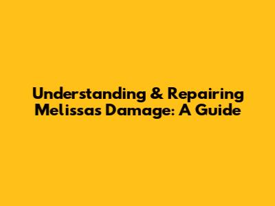 Understanding & Repairing Melissa's Damage: A Guide