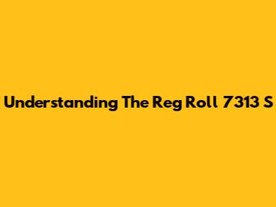 Understanding The Reg Roll 7313 S