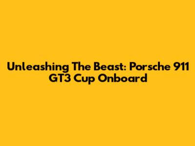Unleashing The Beast: Porsche 911 GT3 Cup Onboard