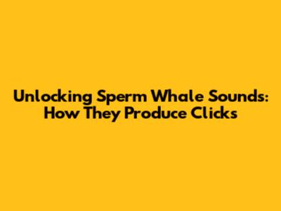 Unlocking Sperm Whale Sounds: How They Produce Clicks
