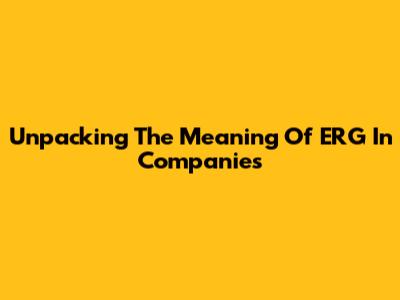 Unpacking The Meaning Of ERG In Companies