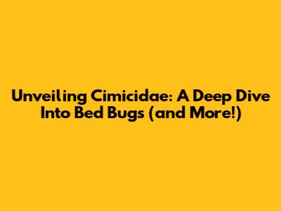 Unveiling Cimicidae: A Deep Dive Into Bed Bugs (and More!)
