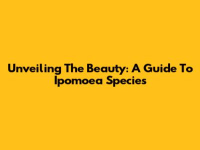 Unveiling The Beauty: A Guide To Ipomoea Species