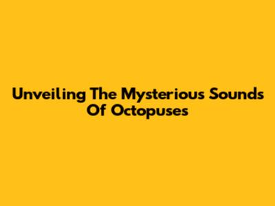 Unveiling The Mysterious Sounds Of Octopuses