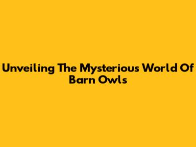 Unveiling The Mysterious World Of Barn Owls