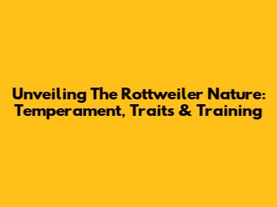 Unveiling The Rottweiler Nature: Temperament, Traits & Training