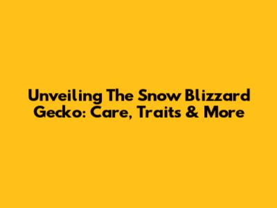 Unveiling The Snow Blizzard Gecko: Care, Traits & More