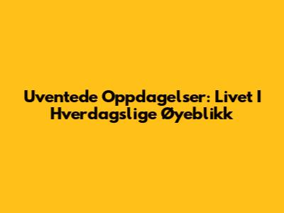 Uventede Oppdagelser: Livet I Hverdagslige Øyeblikk