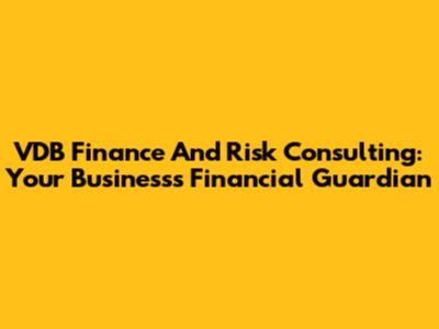 VDB Finance And Risk Consulting: Your Business's Financial Guardian