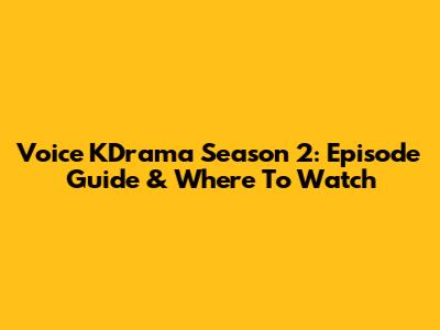 Voice KDrama Season 2: Episode Guide & Where To Watch