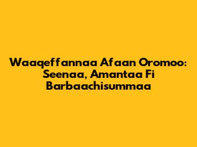 Waaqeffannaa Afaan Oromoo: Seenaa, Amantaa Fi Barbaachisummaa