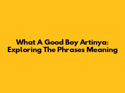 What A Good Boy Artinya: Exploring The Phrase's Meaning