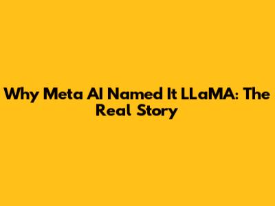 Why Meta AI Named It LLaMA: The Real Story