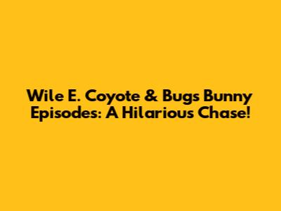 Wile E. Coyote & Bugs Bunny Episodes: A Hilarious Chase!