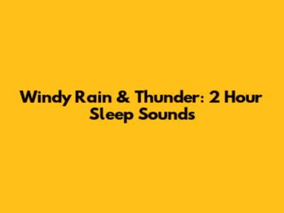 Windy Rain & Thunder: 2 Hour Sleep Sounds