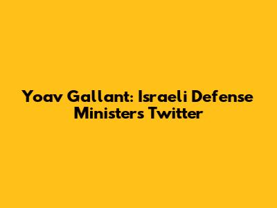 Yoav Gallant: Israeli Defense Minister's Twitter