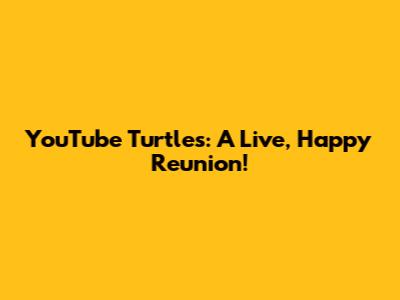 YouTube Turtles: A Live, Happy Reunion!