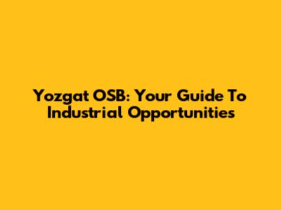 Yozgat OSB: Your Guide To Industrial Opportunities