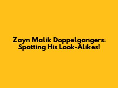 Zayn Malik Doppelgangers: Spotting His Look-Alikes!