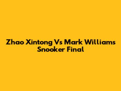 Zhao Xintong Vs Mark Williams Snooker Final