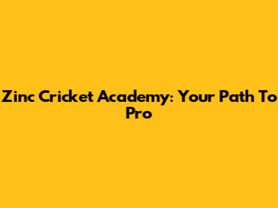 Zinc Cricket Academy: Your Path To Pro